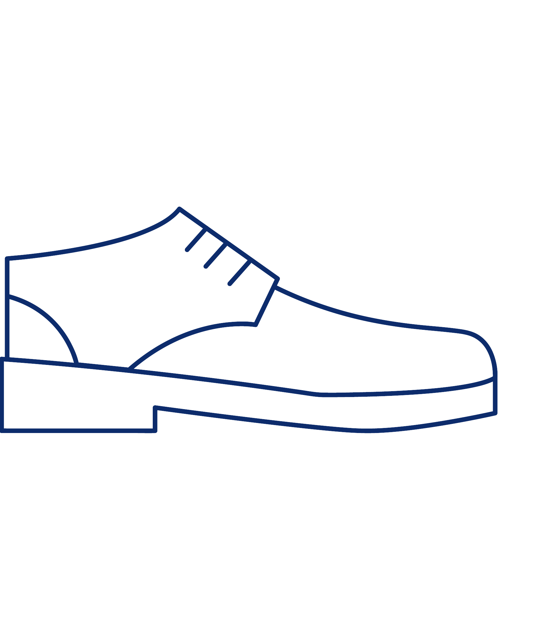 Shoe Shoe Image